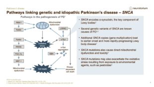 Parkinsons Disease – Neurobiology and Aetiology – slide 31